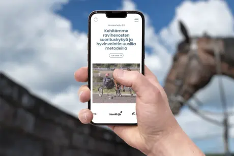 Kuvan keskellä kännykkä, jota käsi pitelee. Kännykässä auki hevosurheiluhankkeen nettisivut. Tausta sumeana taivasta ja hevosen pää.